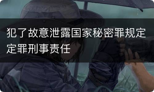 犯了故意泄露国家秘密罪规定定罪刑事责任