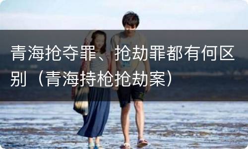 青海抢夺罪、抢劫罪都有何区别（青海持枪抢劫案）