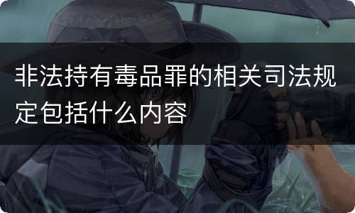 非法持有毒品罪的相关司法规定包括什么内容