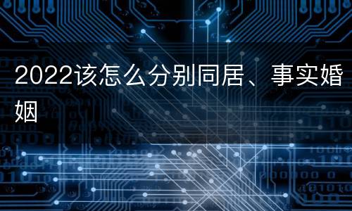 2022该怎么分别同居、事实婚姻