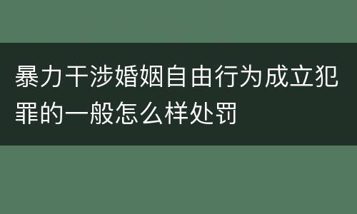 暴力干涉婚姻自由行为成立犯罪的一般怎么样处罚