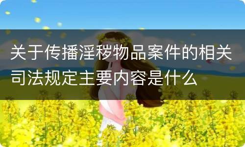 关于传播淫秽物品案件的相关司法规定主要内容是什么