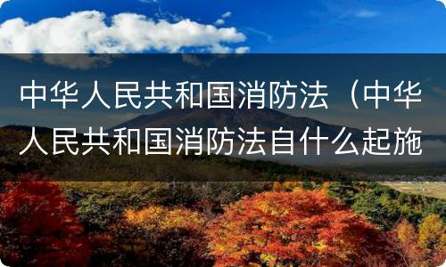 中华人民共和国消防法（中华人民共和国消防法自什么起施行）