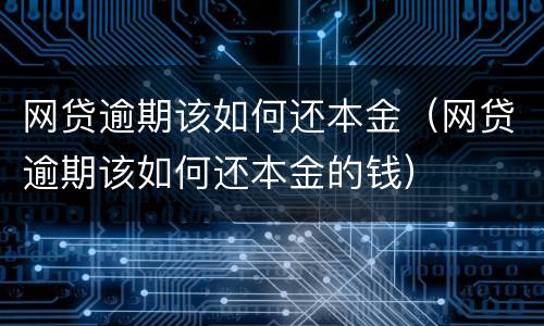 网贷逾期该如何还本金（网贷逾期该如何还本金的钱）