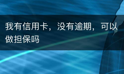 我有信用卡，没有逾期，可以做担保吗