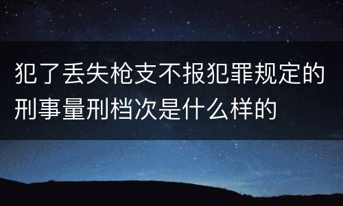 犯了丢失枪支不报犯罪规定的刑事量刑档次是什么样的
