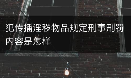 犯传播淫秽物品规定刑事刑罚内容是怎样