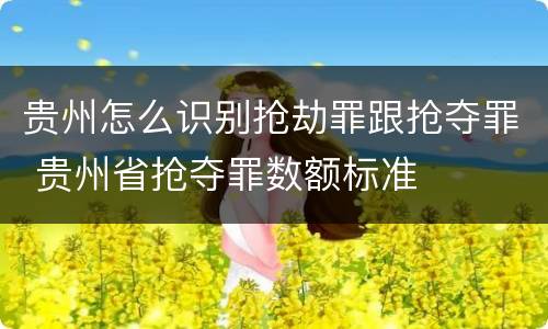 贵州怎么识别抢劫罪跟抢夺罪 贵州省抢夺罪数额标准