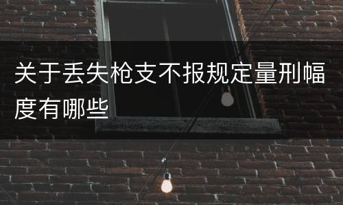 关于丢失枪支不报规定量刑幅度有哪些