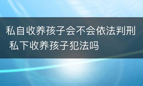 私自收养孩子会不会依法判刑 私下收养孩子犯法吗