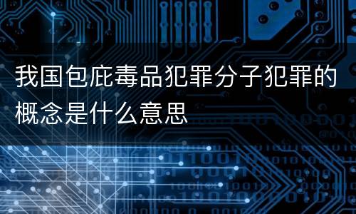 我国包庇毒品犯罪分子犯罪的概念是什么意思