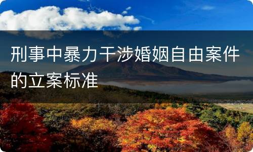 刑事中暴力干涉婚姻自由案件的立案标准