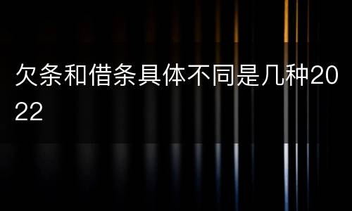 欠条和借条具体不同是几种2022