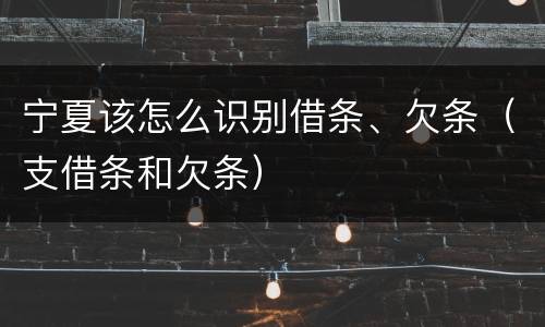 宁夏该怎么识别借条、欠条（支借条和欠条）