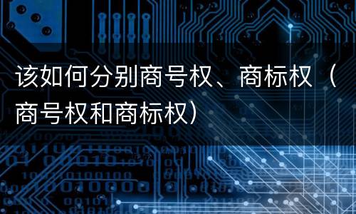 该如何分别商号权、商标权（商号权和商标权）