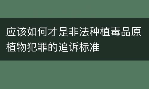 应该如何才是非法种植毒品原植物犯罪的追诉标准