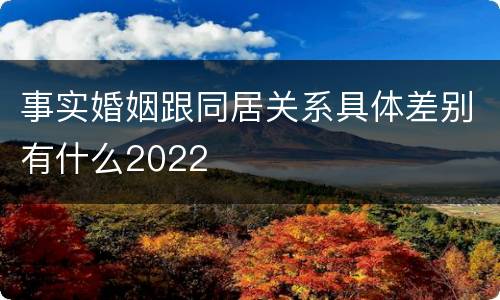 事实婚姻跟同居关系具体差别有什么2022