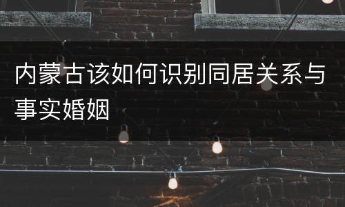 内蒙古该如何识别同居关系与事实婚姻