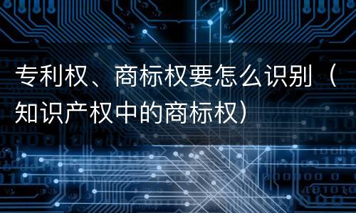 专利权、商标权要怎么识别（知识产权中的商标权）