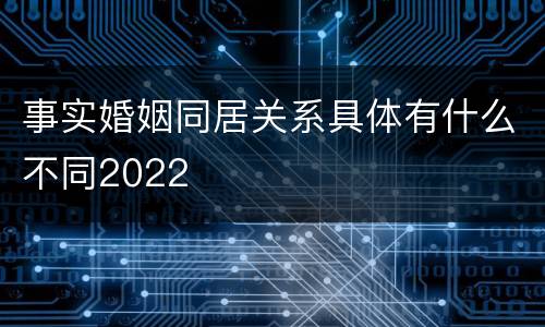 事实婚姻同居关系具体有什么不同2022