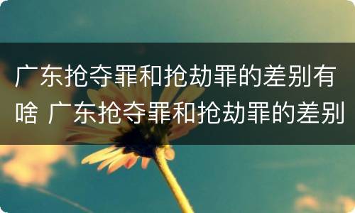 广东抢夺罪和抢劫罪的差别有啥 广东抢夺罪和抢劫罪的差别有啥区别
