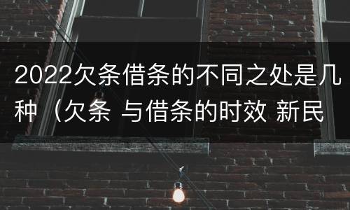 2022欠条借条的不同之处是几种（欠条 与借条的时效 新民法典）