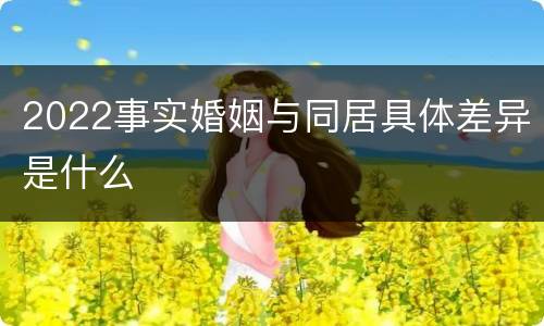 2022事实婚姻与同居具体差异是什么