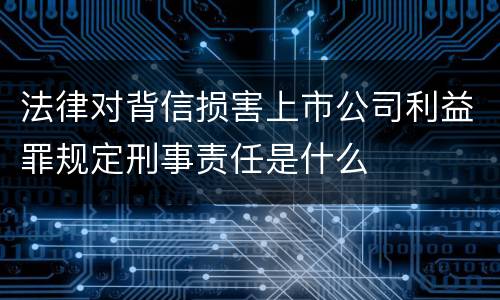 法律对背信损害上市公司利益罪规定刑事责任是什么