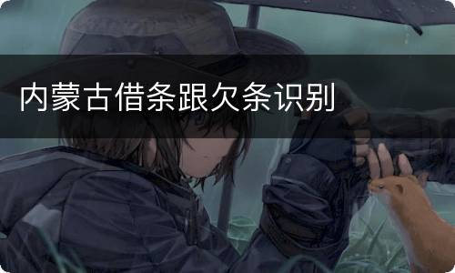 内蒙古借条跟欠条识别