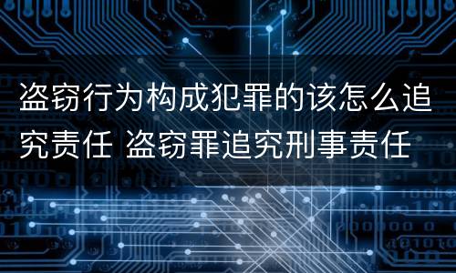 盗窃行为构成犯罪的该怎么追究责任 盗窃罪追究刑事责任