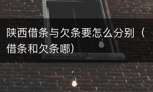 陕西借条与欠条要怎么分别（借条和欠条哪）