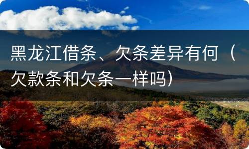 黑龙江借条、欠条差异有何（欠款条和欠条一样吗）