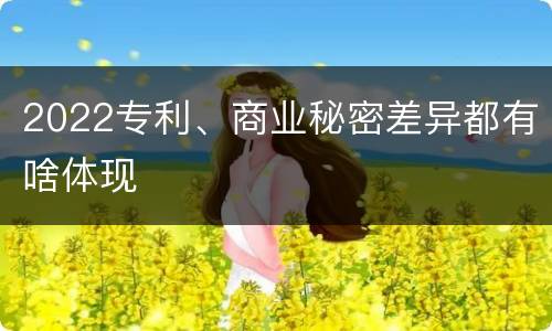 2022专利、商业秘密差异都有啥体现