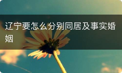 辽宁要怎么分别同居及事实婚姻