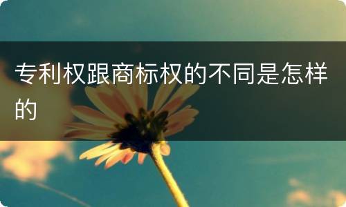 专利权跟商标权的不同是怎样的