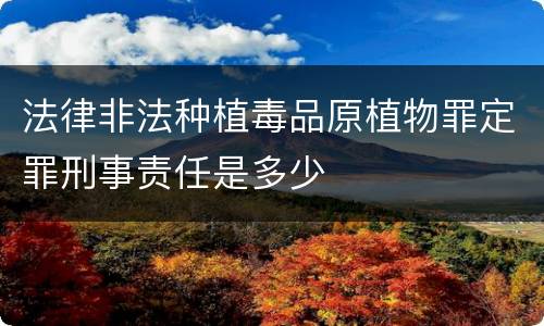法律非法种植毒品原植物罪定罪刑事责任是多少