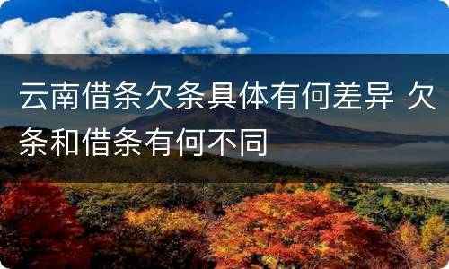 云南借条欠条具体有何差异 欠条和借条有何不同
