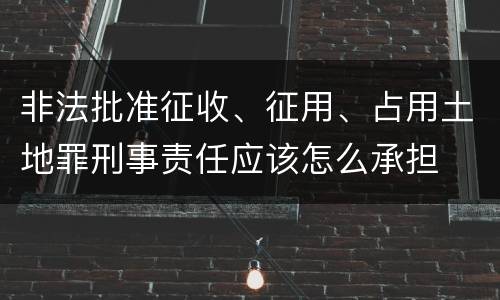 非法批准征收、征用、占用土地罪刑事责任应该怎么承担