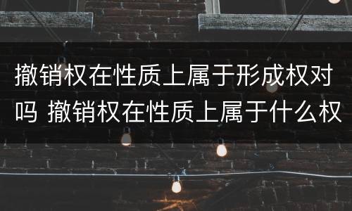 撤销权在性质上属于形成权对吗 撤销权在性质上属于什么权