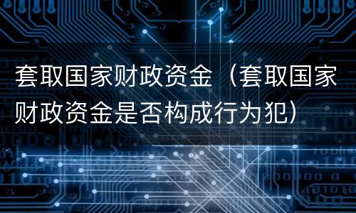 套取国家财政资金（套取国家财政资金是否构成行为犯）