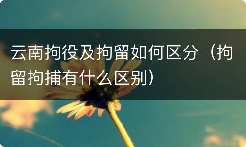 云南拘役及拘留如何区分（拘留拘捕有什么区别）