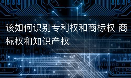 该如何识别专利权和商标权 商标权和知识产权