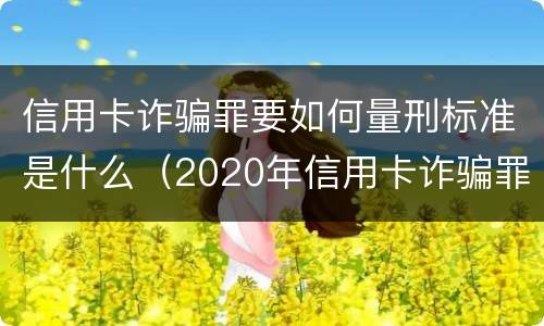 信用卡诈骗罪要如何量刑标准是什么（2020年信用卡诈骗罪构成要件）