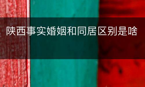 陕西事实婚姻和同居区别是啥
