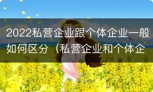 2022私营企业跟个体企业一般如何区分（私营企业和个体企业的区别）