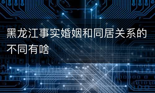 黑龙江事实婚姻和同居关系的不同有啥