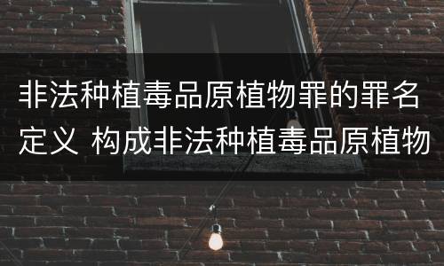 非法种植毒品原植物罪的罪名定义 构成非法种植毒品原植物罪的有哪些