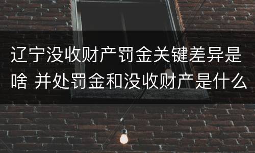 辽宁没收财产罚金关键差异是啥 并处罚金和没收财产是什么意思