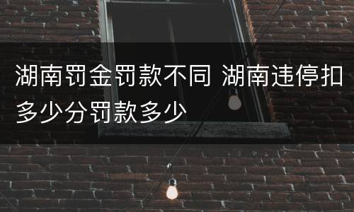 湖南罚金罚款不同 湖南违停扣多少分罚款多少