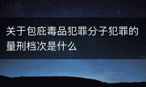 关于包庇毒品犯罪分子犯罪的量刑档次是什么